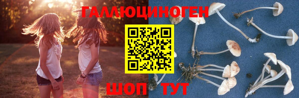 Галлюциногенные грибы ЛСД  Вход с VPN  Аксай 